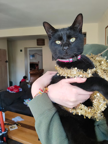 65 Longmead Ave, Bishopston, Bristol BS7 8QB, United Kingdom