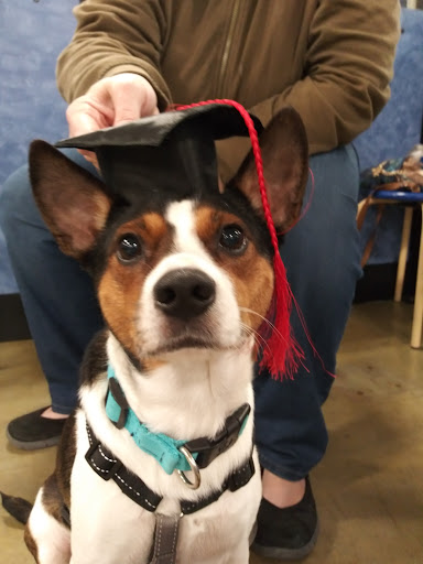 Pet Supply Store «PetSmart», reviews and photos, 4500 Mitchellville Rd, Bowie, MD 20716, USA