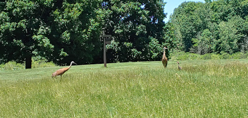Golf Course «Elbel Golf Course», reviews and photos, 26595 Auten Rd, South Bend, IN 46628, USA