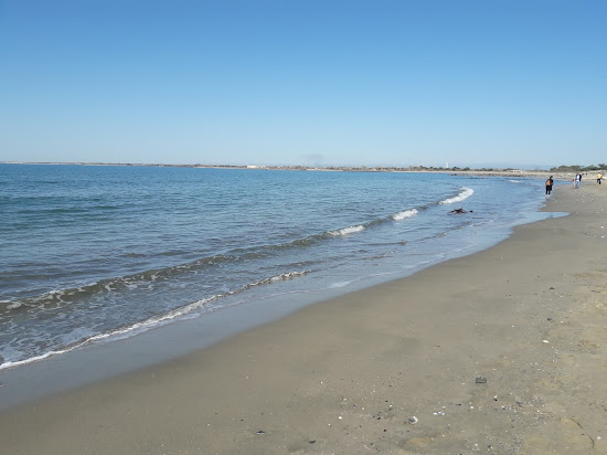 Tamarissiere beach