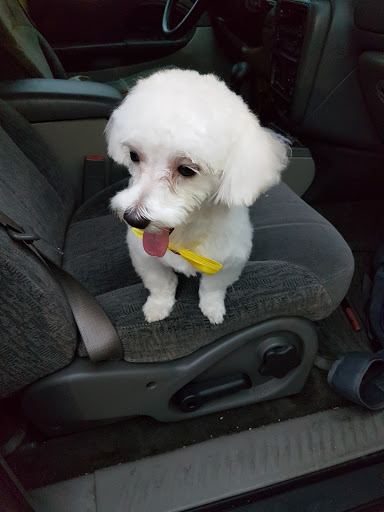 Pet Store «Pet Supermarket», reviews and photos, 12576 SW 8th St, Miami, FL 33184, USA