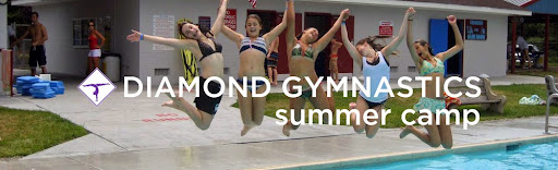 Gymnastics Center «Diamond Gymnastics», reviews and photos, 182 NJ-10, East Hanover, NJ 07936, USA