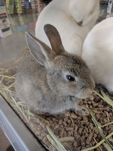 Pet Groomer «We Lov Pets», reviews and photos, 3853 Northpointe Dr, Zanesville, OH 43701, USA