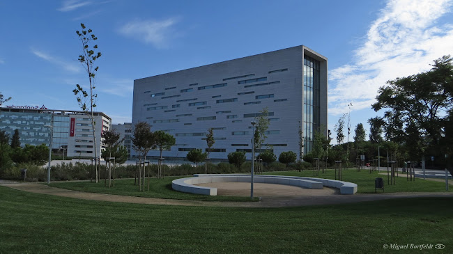 Comentários e avaliações sobre o Universidade NOVA de Lisboa