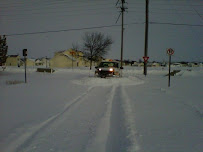 Northern Touch Lawn Care & Snow Plowing LLC - Photo 3 - Car repair in Saginaw, MI, Saginaw