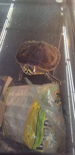 Pet Store «Pets Plus - Quakertown», reviews and photos, 117 S West End Blvd, Quakertown, PA 18951, USA