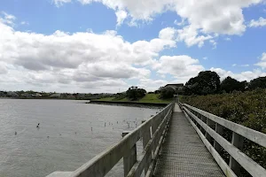 Brylee Drive Reserve image