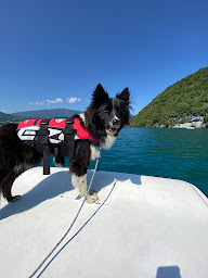 Photo n°12 de Nautic Fontaine à Talloires-Montmin ()