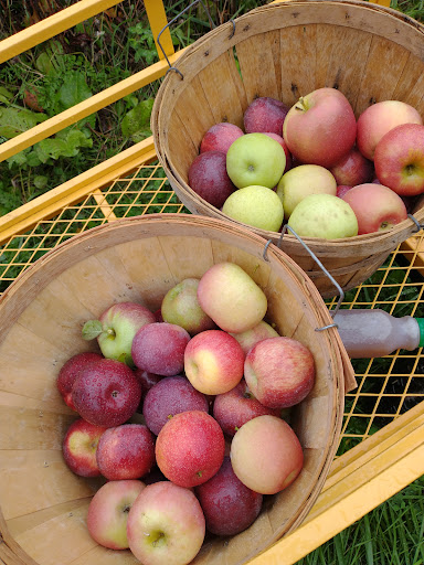 Produce Market «Race Farm», reviews and photos, 87 Belcher Rd, Blairstown, NJ 07825, USA