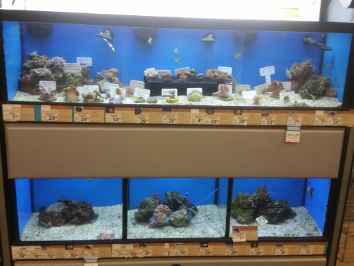 Pet Supply Store «Petco Animal Supplies», reviews and photos, 753 53rd Ave NE, Fridley, MN 55421, USA