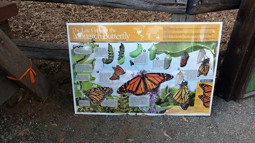 Nature Preserve «Monarch Butterfly Grove», reviews and photos, 400 S Dolliver St, Pismo Beach, CA 93449, USA