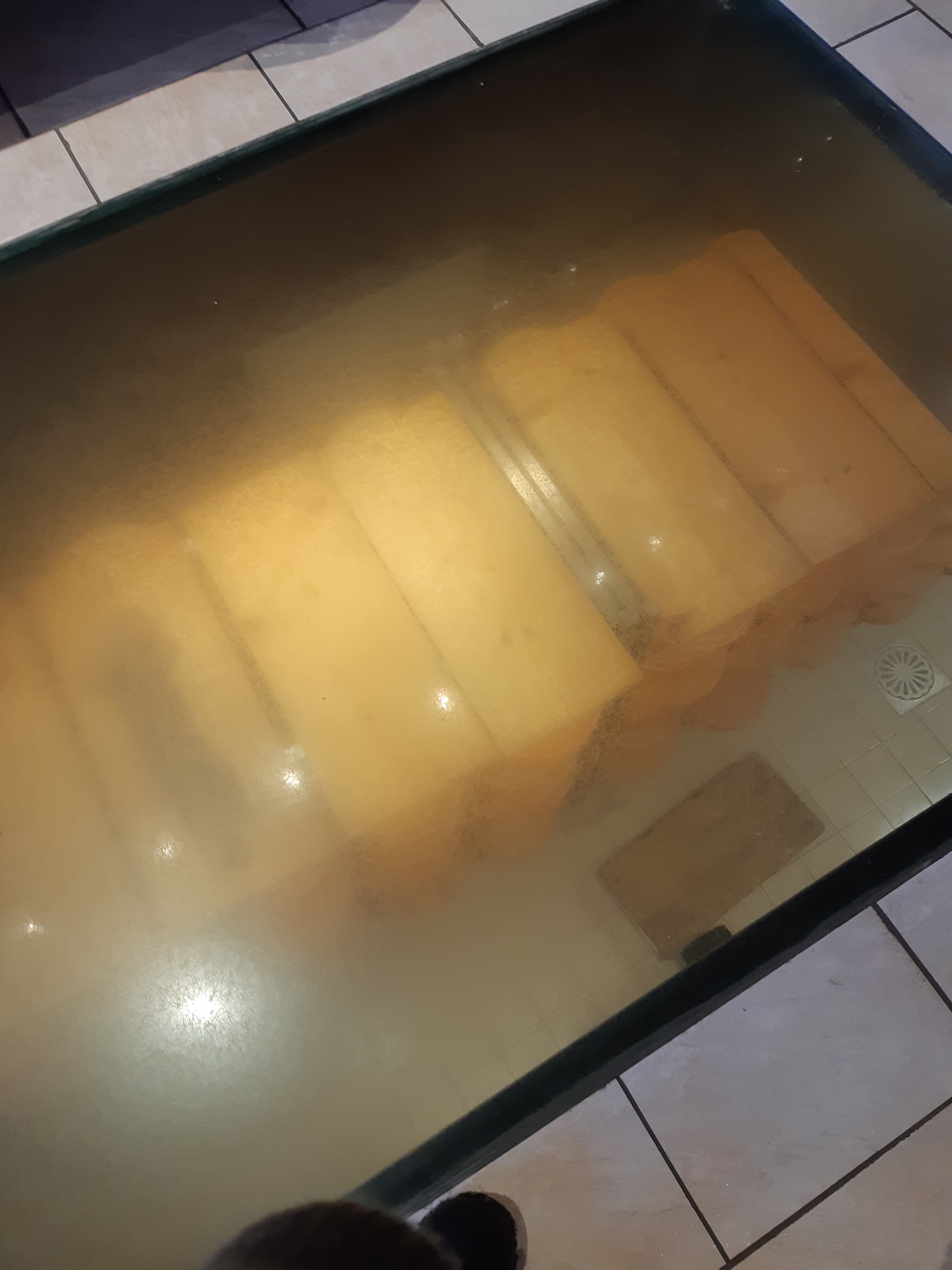 Photo n° 1 de l'avis de Chat.o fait le 11/01/2019 à 15:27