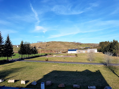 Les Genêts d'Or à Recoules-d'Aubrac