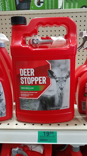 Home Improvement Store «Menards», reviews and photos, 2920 Decker Dr, Rice Lake, WI 54868, USA