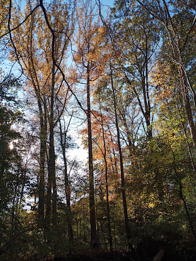 Nature Preserve «Hidden Oaks Nature Center», reviews and photos, 7701 Royce St, Annandale, VA 22003, USA