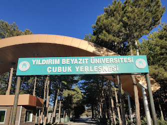 Ankara Yıldırım Beyazıt Üniversitesi Sağlık Hizmetleri Meslek Yüksekokulu