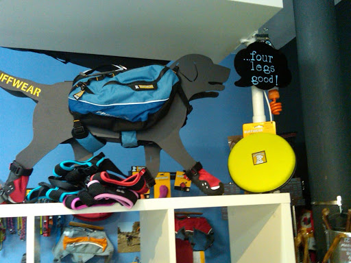 Pet Supply Store «Blue Ridge Dog», reviews and photos, 115 W Water St, Harrisonburg, VA 22801, USA