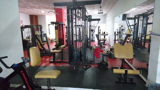 Gym tiger en Málaga, Málaga
