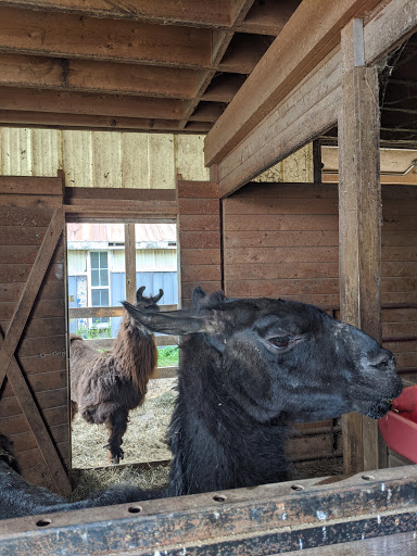 Farm «Dakota Ridge Farm», reviews and photos, 189 E High St, Ballston Spa, NY 12020, USA