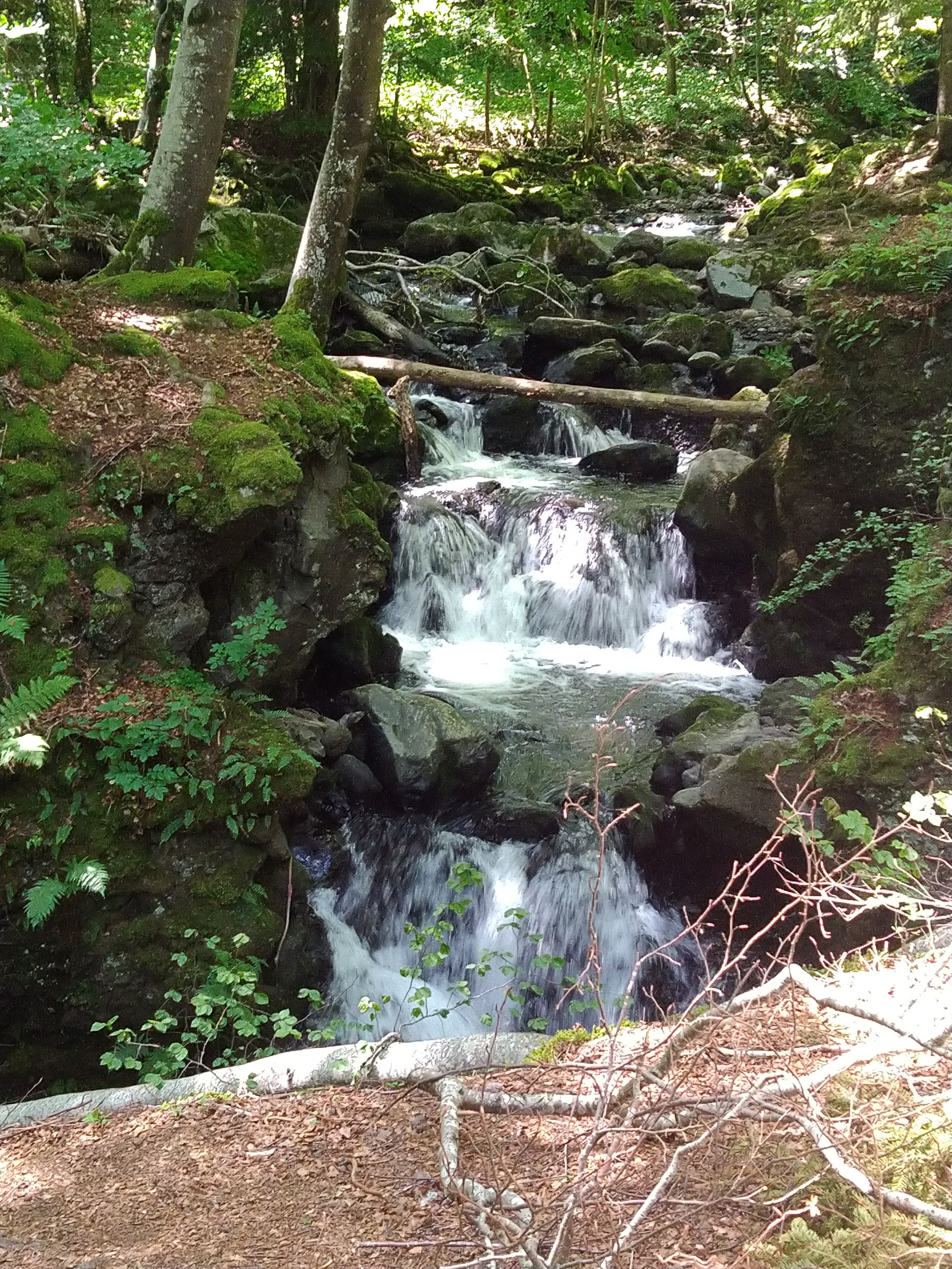 Photo n° 4 de l'avis de Francoise.e fait le 18/06/2021 à 13:16