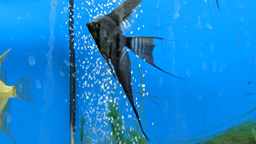 Pet Store «Pet World Warehouse Outlet», reviews and photos, 2984 S 108th St, Milwaukee, WI 53227, USA