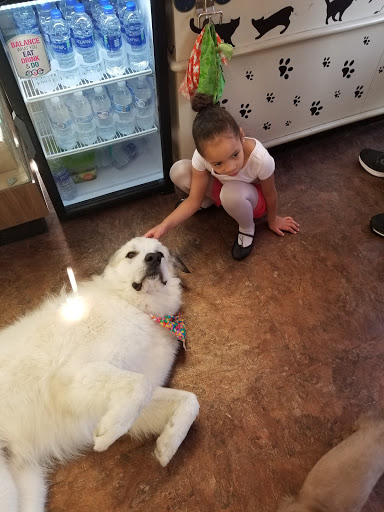 Pet Store «Pet Palace Nutrition & Boutique», reviews and photos, 3233 SE Maricamp Rd #101, Ocala, FL 34471, USA