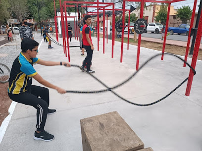 Street Gym - Zona Centro, 35150 Lerdo, Durango, Mexico