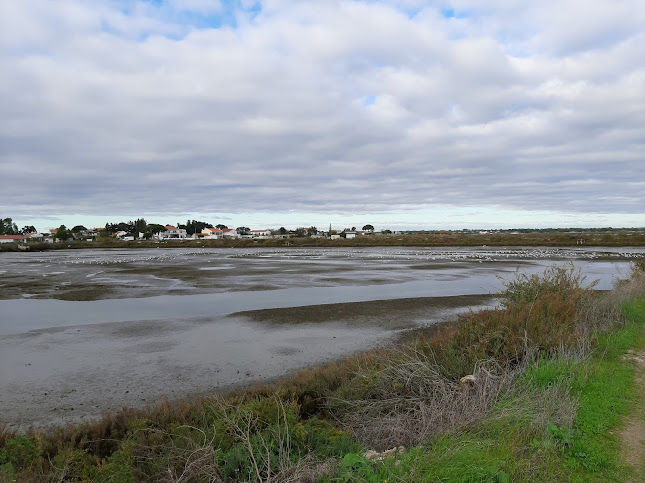 Avaliações doReserva Natural do Estuário do Sado em Setúbal - Outro