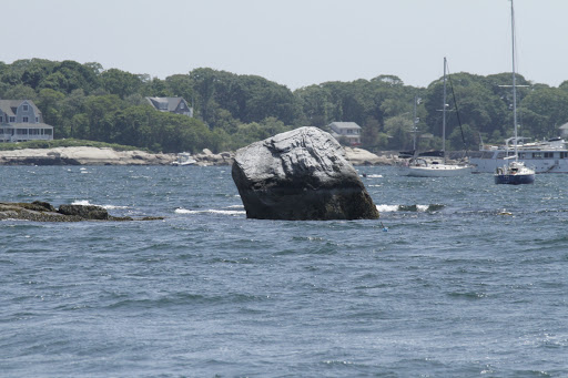 Whale Watching Tour Agency «7 Seas Whale Watch», reviews and photos, 63 Rogers St, Gloucester, MA 01930, USA