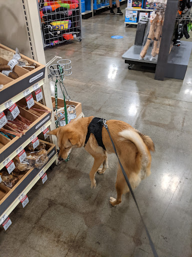 Pet Supply Store «PetSmart», reviews and photos, 100 108th Ave NE, Bellevue, WA 98004, USA