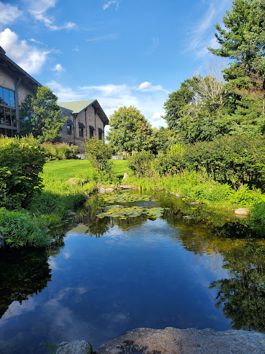 Nature Preserve «The Nature Trail and Cranberry Bog», reviews and photos, 252 Patriot Pl, Foxborough, MA 02035, USA