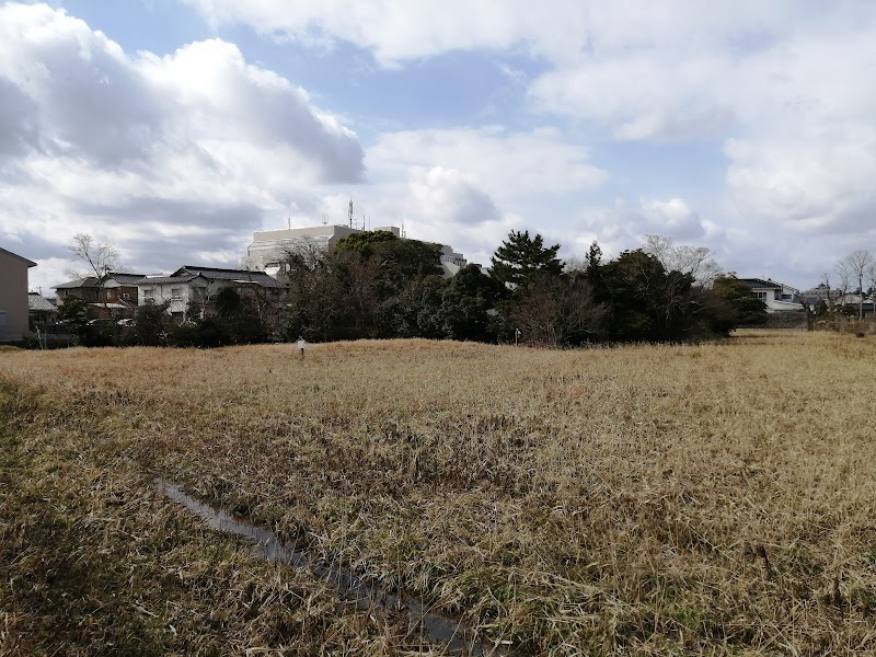 舟つきの松公園