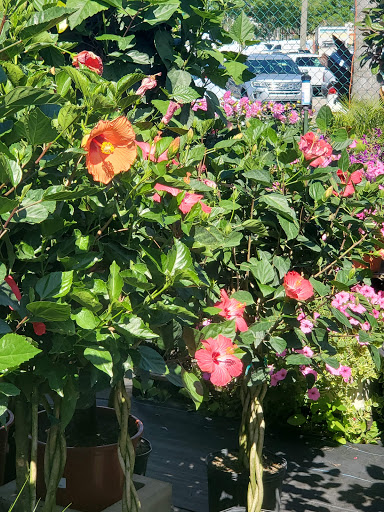 Hardware Store «Proctor Ace Hardware», reviews and photos, 1281 Atlantic Blvd, Neptune Beach, FL 32266, USA