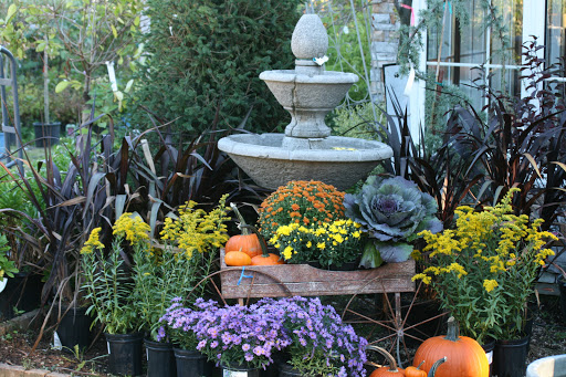 Florist «Greenlawn Florist», reviews and photos, 841 Pulaski Rd, Greenlawn, NY 11740, USA