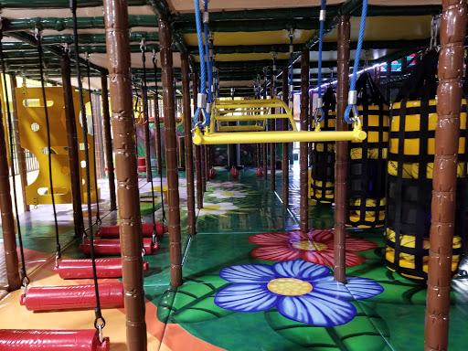 Amazone Playzone