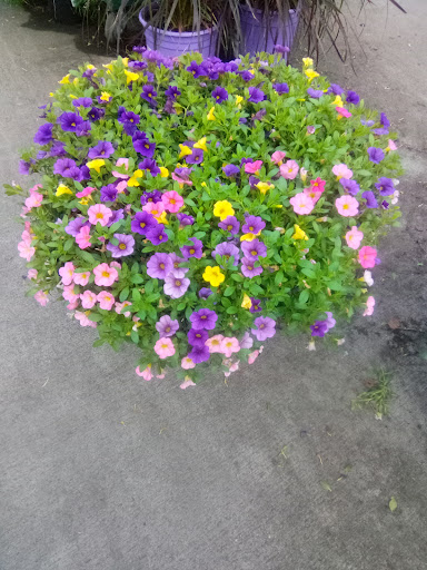 Home Improvement Store «The Home Depot», reviews and photos, 2150 3rd St, Oroville, CA 95965, USA