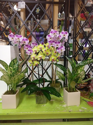 Florist «Tanglewood Flowers & Garden», reviews and photos, 5518 Dolores St, Houston, TX 77056, USA