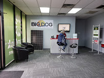 Big Dog Solar Energy - Photo 3 - Car repair in Grand Junction, CO, Grand Junction