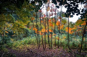 Weinberg Nature Center - photo 18