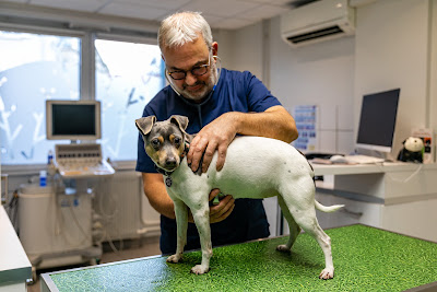 Clinique Vétérinaire de l'Etoile à Strasbourg