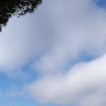 Photo n°1 de l'avis de Mari.u fait le 29/09/2020 à 19:41 sur le  Hotel Baia Imperiale à Marina di Campo