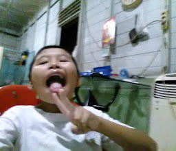 Perumahan Martubung photo