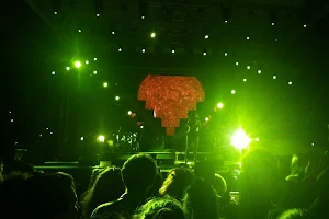 D Festival - Main Stage image