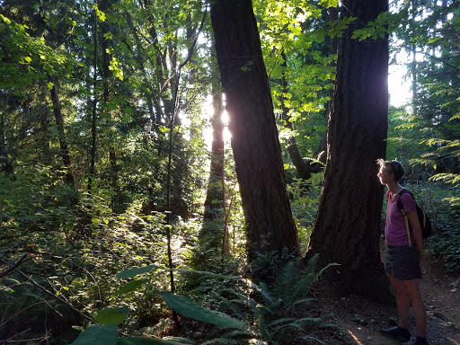 Park «Zumdieck Park», reviews and photos, 1500 108th Ave NE, Bellevue, WA 98004, USA