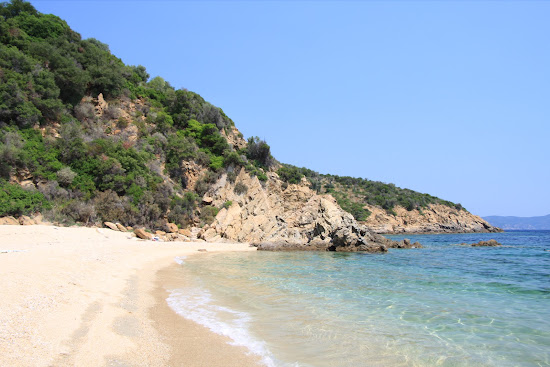 Coast Gerontokores