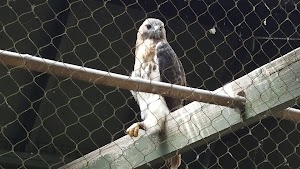 Racine Zoo - photo 47