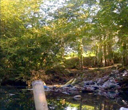 Sungai Meninting photo