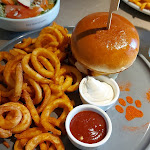 Photo n°3 de l'avis de QueenMG.h fait le 10/03/2024 à 10:18 sur le  Katzentempel Hamburg Hafencity à Hamburg