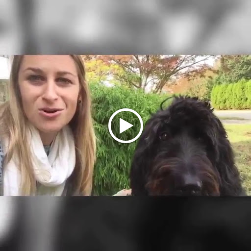 Real Estate Agency «Long & Foster Real Estate, Inc. Havertown- Kevin Toll Group, LLC», reviews and photos, 95 S Eagle Rd, Havertown, PA 19083, USA