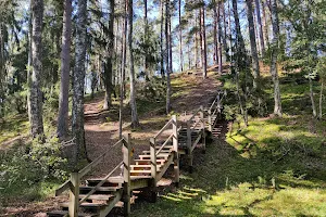 Green Dune Trail image